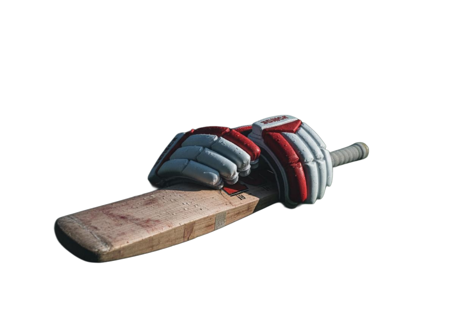 Cricket Player